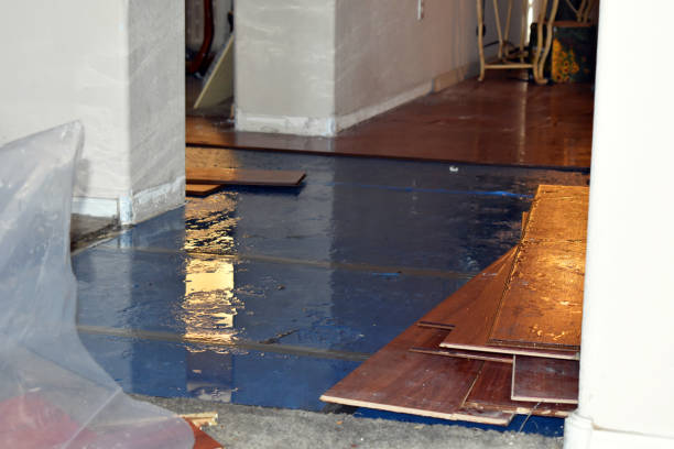 Professional Water Extraction technician working in Lone Jack, MO